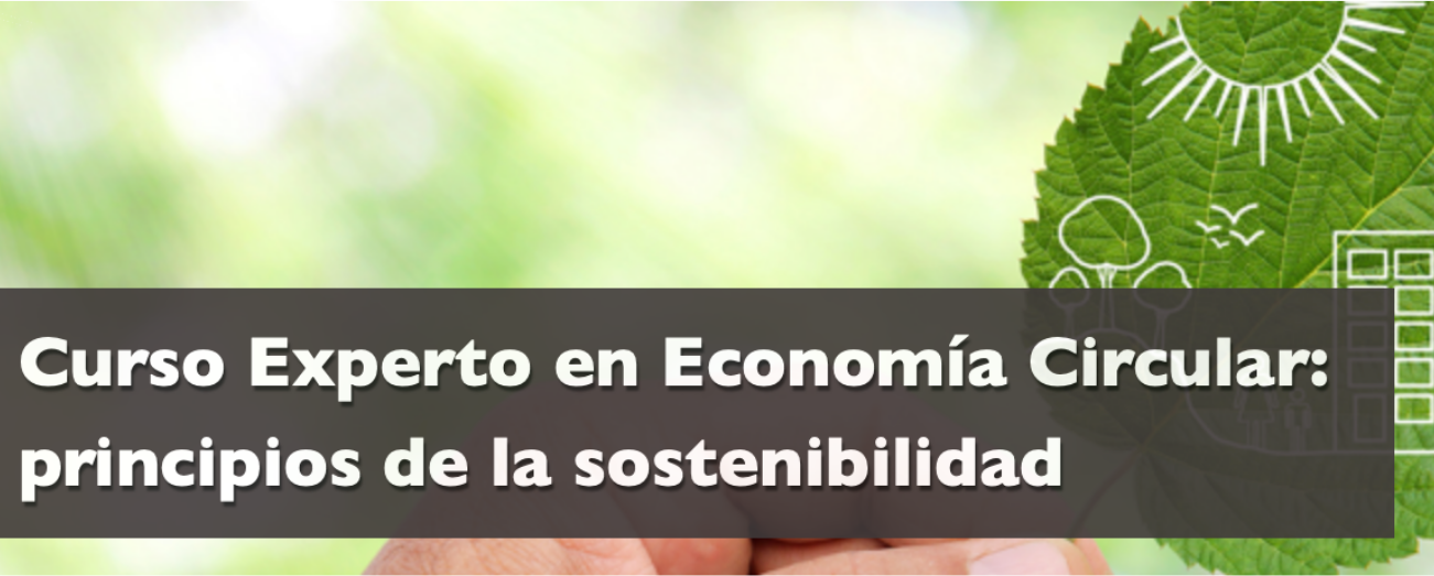 CURSO ECONOMÍA CIRCULAR: PRINCIPIOS DE LA SOSTENIBILIDAD 